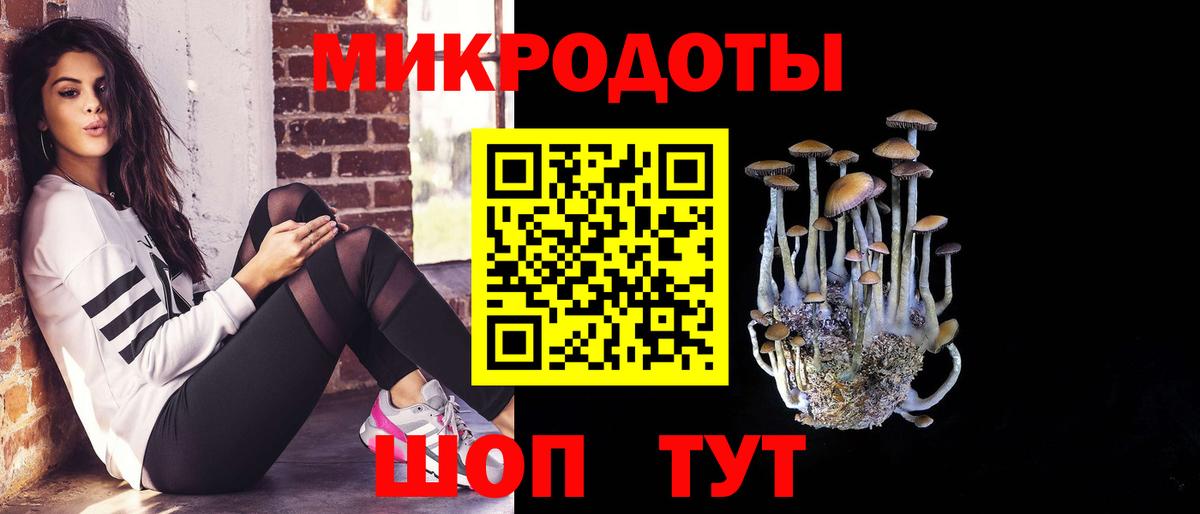 Галлюциногенные грибы Psilocybe  Вход с VPN  Надым  Галлюциногенные грибы GOLDEN TEACHER 